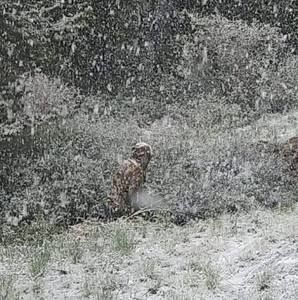 Meet your Posher, Erron